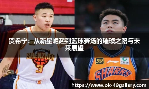 贺希宁：从新星崛起到篮球赛场的璀璨之路与未来展望