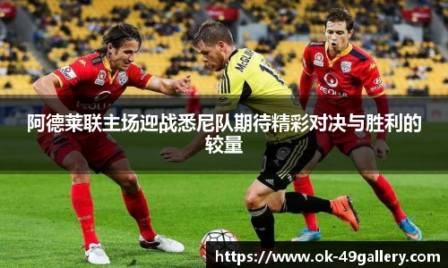 阿德莱联主场迎战悉尼队期待精彩对决与胜利的较量